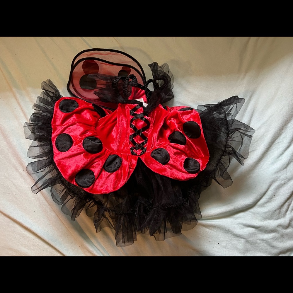 Toddler Girls ladybug costume